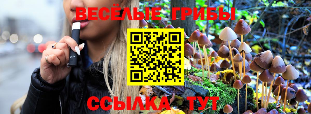 Галлюциногенные грибы Cubensis Соликамск