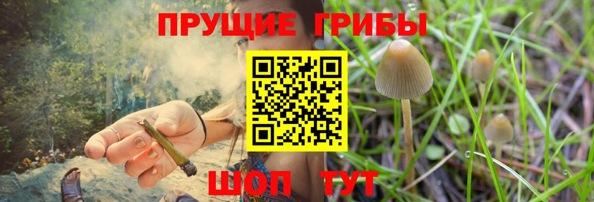 Галлюциногенные грибы ЛСД  Вход с VPN  Соликамск 